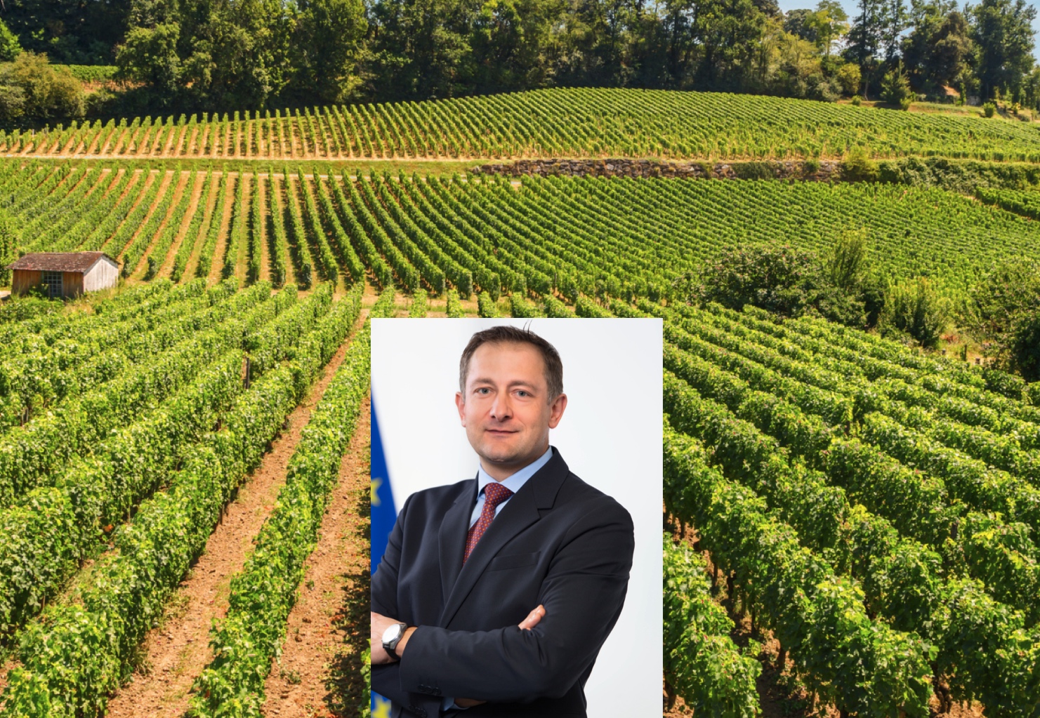 Frankrike får fyrtio miljoner euro för att destillera vin