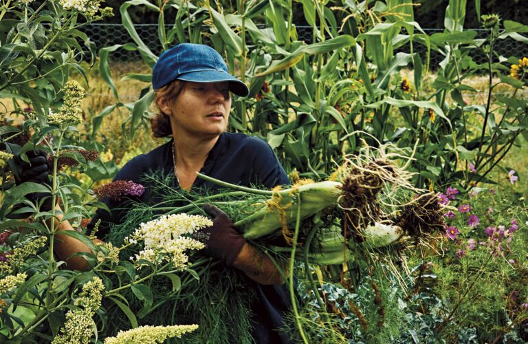 4 Tove Nilsson – ÖRTER-titel